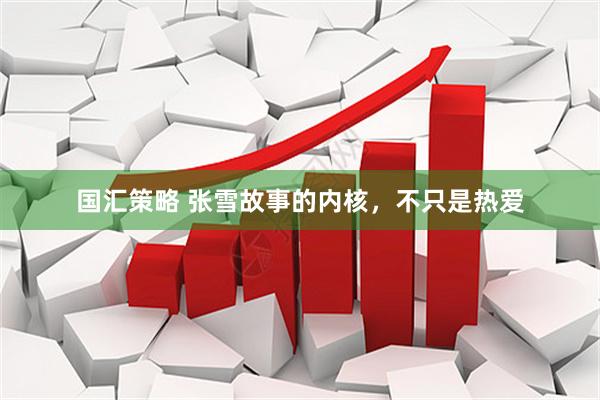 国汇策略 张雪故事的内核，不只是热爱