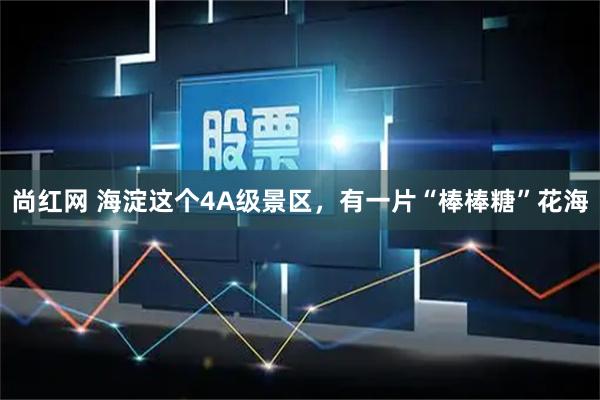 尚红网 海淀这个4A级景区，有一片“棒棒糖”花海